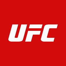 UFC TV 5